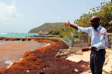 Union Islanders see their beaches disappear