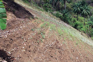 Antigua: Surrounded by sea but catchments are empty