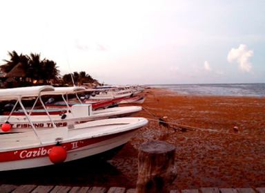 Sargassum and Climate Change in the Caribbean