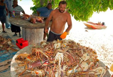 Caribbean scientists work to limit climate impact on marine environment