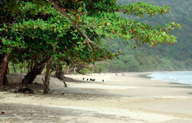 Relationship with the ocean part of T&T’s culture: UN|Relationship with the ocean part of T&T’s culture: UN|Relationship with the ocean part of T&T’s culture: UN