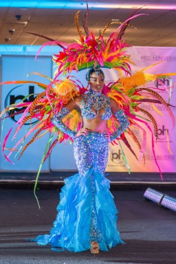 Miss Jamaica wins spot at Miss Universe 2017