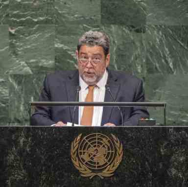 SVG PM deplores violation of the principle of non-intervention