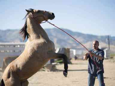 Hardened con offered shot at redemption