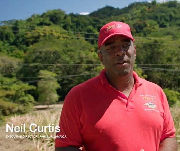 Neil Curtis, founder of Farm Up Jamaica.