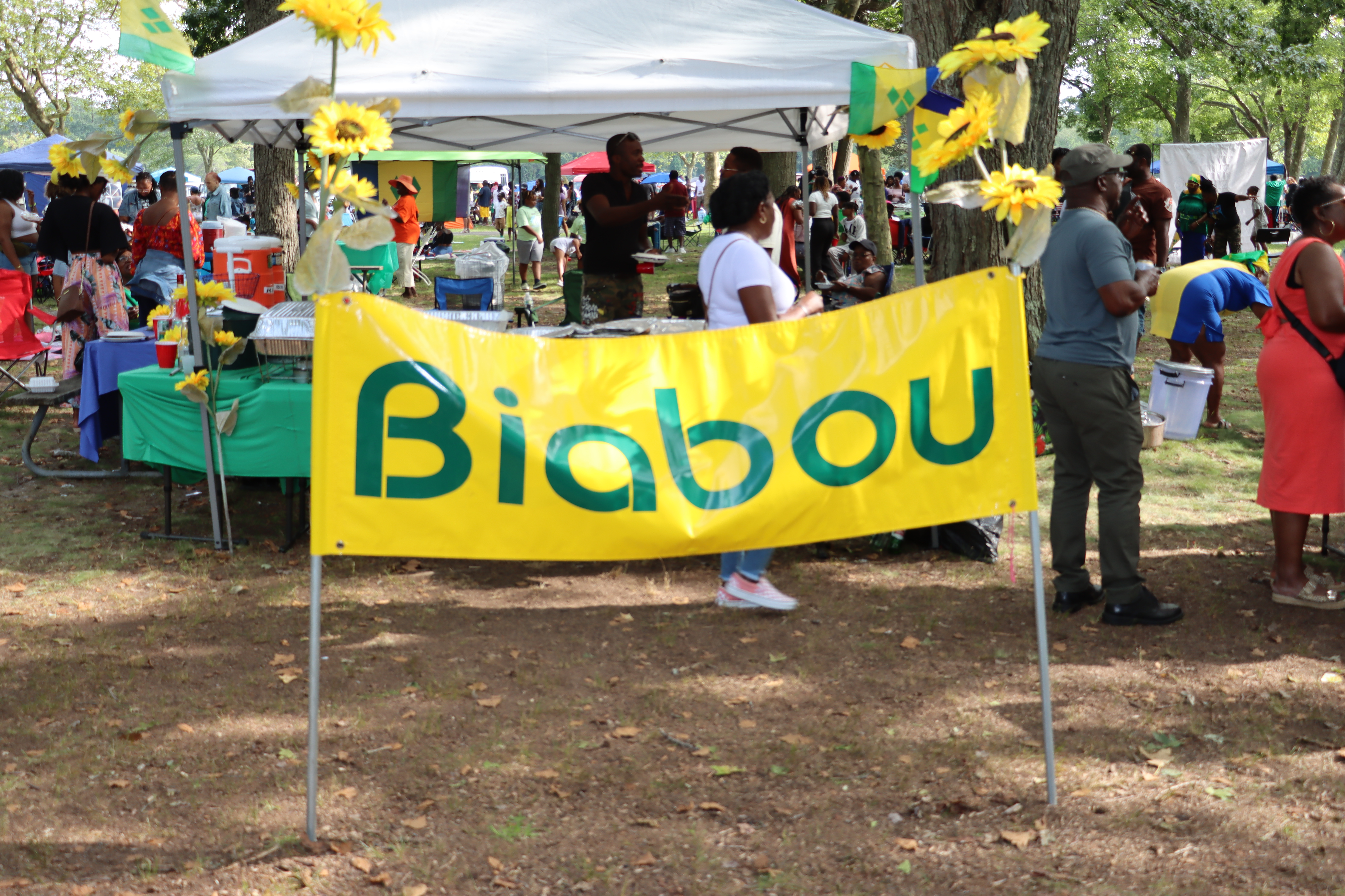 A banner displaying a popular Vincentian village, Biabou, in St. Vincent and the Grenadines.