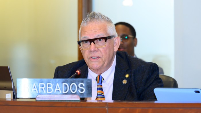 Victor Fernandes, Ambassador, Permanent Representative of Barbados to the OAS.