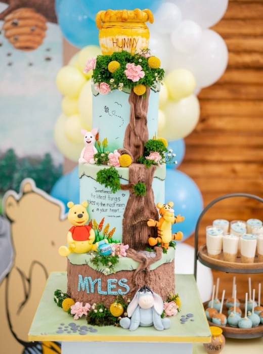 Sabrina Wright designed this Winnie the Pooh-themed cake for a baby shower.