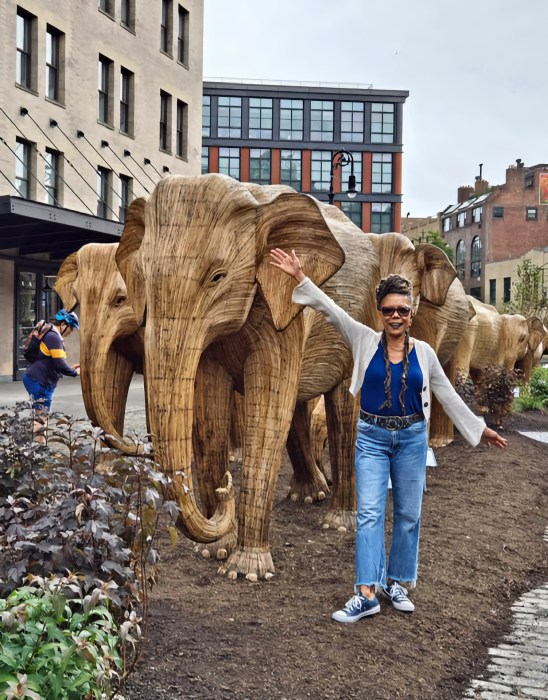 Jamaican immigrant Sonia Chin tries to measure up against Indian migrant pachyderms.