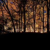 A fire burns at Prospect Park, New York City, New York, U.S., November 8, 2024, in this picture obtained from social media.