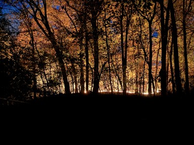 A fire burns at Prospect Park, New York City, New York, U.S., November 8, 2024, in this picture obtained from social media.