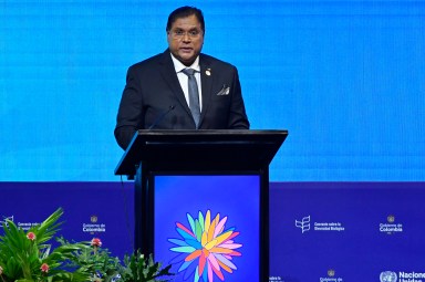 President Chan Santokhi of Suriname speaks during the high level sessions at day 9 as part of the 'COP16:Peace With Nature' at Valle Del Pacífico Event Center on Oct. 29, 2024 in Cali, Colombia.