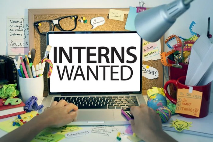 caribbean-life-seeking-interns-2025-01-23-cl01