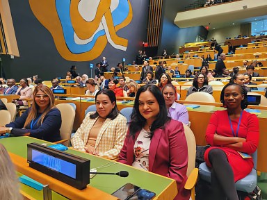 Permanent representative of Guyana to the UN, Ambassador Carolyn Rodrigues-Birkett, (second from left), Dr. Vindhya Persaud, minister of Human Services and Social Security, and other delegates.